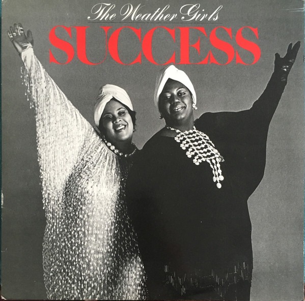 Ook de lp van the Weather Girls - Success shop je bij Run4records