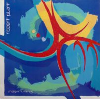 Ook de lp van Robert Plant – Shaken 'N' Stirred koop je online bij Run4records