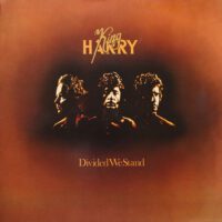 King Harry – Divided We Stand koop je op 2ehands lp bij Run4records
