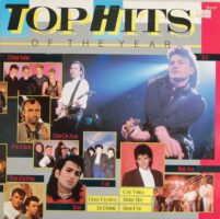 Top Hits Of The Year koop je op 2ehands vinyl bij Run4records