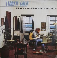 Andrew Gold – Whats Wrong With This Picture koop je op 2ehands LP bij Run4records