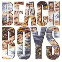 Beach Boys – The Beach Boys koop je op 2ehands lp bij Run4records