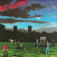 Mr. Mister – Welcome To The Real World koop je op 2ehands lp bij Run4records