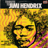 Jimi Hendrix (tribute) - Jeff Cooper And The Stoned Wings koop je op 2ehands LP bij Run4records