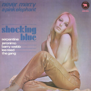 Never Marry A Pink Elephant koop je op 2ehands LP bij Run4records