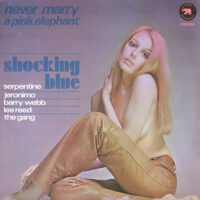 Never Marry A Pink Elephant koop je op 2ehands LP bij Run4records