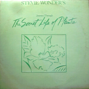Stevie Wonder's Journey Through The Secret Life Of Plants koop je op 2ehands LP bij Run4records