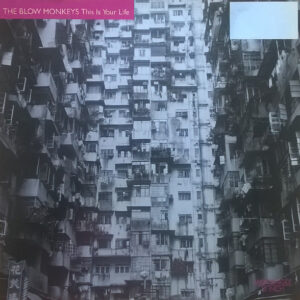 Blow Monkeys – This Is Your Life koop je op 2ehands vinyl bij jou online store Run4records