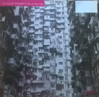 Blow Monkeys – This Is Your Life koop je op 2ehands vinyl bij jou online store Run4records