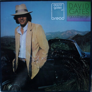 David Gates – Goodbye Girl koop je op 2ehands vinyl bij jou online store Run4records