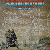 Nederpop 1965 - 1975 vind je bij Run4records. Jouw online LP verkoper