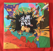 Between The Jars – Oh... What a Time to Be Alive vind je op 2ehands LP bij jouw online Run4records store