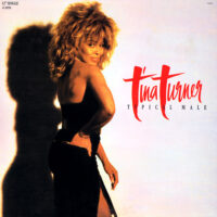 Tina Turner – Typical Male (Dance Mix) koop je op 2ehands vinyl bij jou online store Run4records