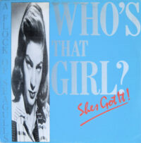 A Flock Of Seagulls – Who's That Girl (She's Got It) koop je online bij Run4records. Jouw 2ehands vinyl Site