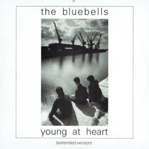 Bluebells – Young At Heart bestel je simpel en snel bij Run4records.nl