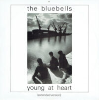 Bluebells – Young At Heart bestel je simpel en snel bij Run4records.nl