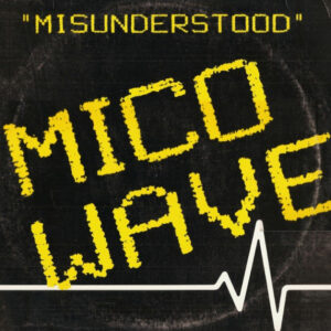 Mico Wave – Misunderstood koop je online bij Run4records. Jouw 2ehands vinyl Site