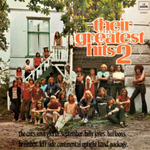 Their Greatest Hits 2 bestel je gewoon 2ehands. Lp's met een 2e kans, Run4records.nl