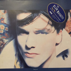 Blow Monkeys – She Was Only A Grocer's Daughter koop je op 2ehands vinyl bij jou online store Run4records
