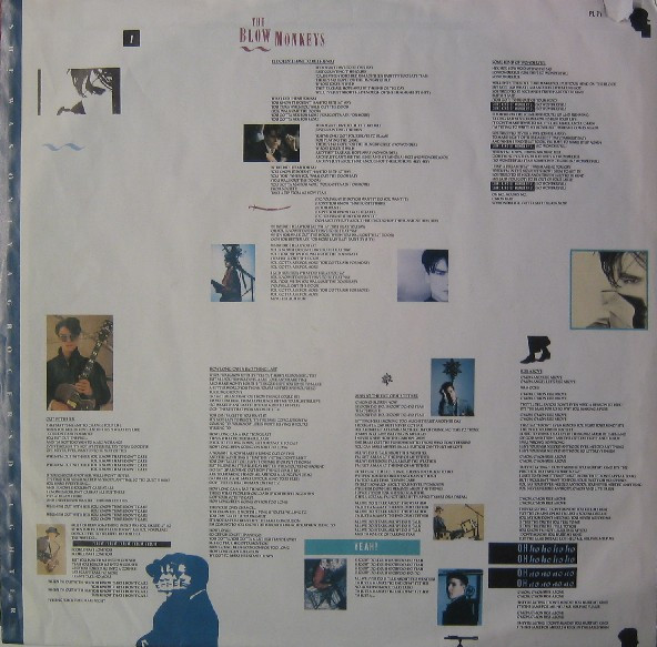 The Blow Monkeys - She Was Only A Grocer's Daughter tweedehands pop vinyl bij Run4Records