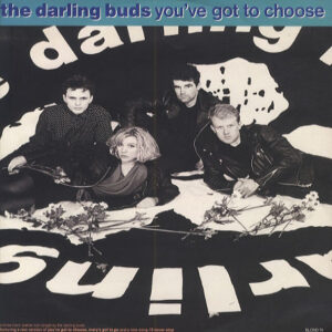 Darling Buds – You've Got To Choose koop je online bij Run4records. Jouw 2ehands vinyl Site