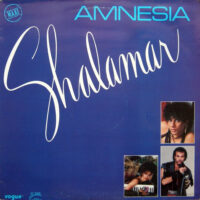 Shalamar – Amnesia zoek je simpel en snel bij Run4records.nl