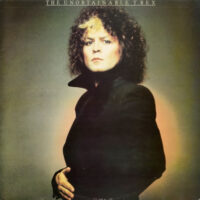 T. Rex – The Unobtainable T. Rex klinkt als muziek in de oren. Bestel snel bij Run4records.nl
