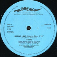 Divine – Native Love (Step By Step) bestel je gewoon 2ehands. Lp's met een 2e kans, Run4records.nl