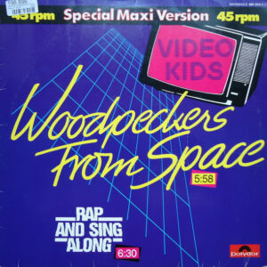 Video Kids – Woodpeckers From Space bestel je gewoon 2ehands. Lp's met een 2e kans, Run4records.nl