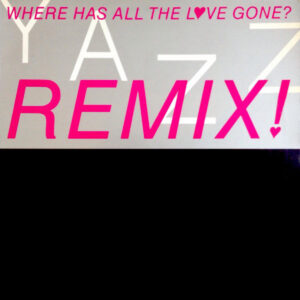 Yazz – Where Has All The Love Gone (Remix) koop je op 2ehands vinyl bij jou online store Run4records