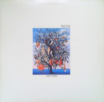 Talk Talk – Spirit Of Eden wacht op jou bij Run4records. Jouw 2ehands vinyl Site