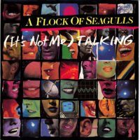A Flock Of Seagulls – It's Not Me Talking wacht op jou bij Run4records. Jouw 2ehands vinyl Site