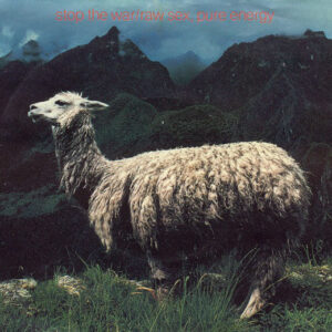 Raw Sex, Pure Energy – Stop The War bestel je gewoon 2ehands. Lp's met een 2e kans, Run4records.nl