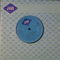 Samantha Fox – Touch Me staat als tweedehands LP gewoon te koop bij Run4records.