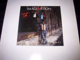 Imagination – Last Days Of Summer draait straks op jouw draaitafel dankzij Run4records