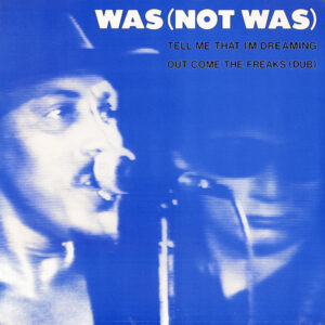 Was (Not Was) – Tell Me That I'm Dreaming klinkt als muziek in de oren. Bestel snel bij Run4records.nl