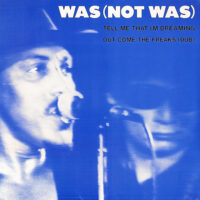 Was (Not Was) – Tell Me That I'm Dreaming klinkt als muziek in de oren. Bestel snel bij Run4records.nl