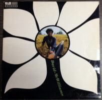 David McWilliams – David McWilliams Vol. 2 vind je online bij de beste 2ehands Lp site. Run4records!