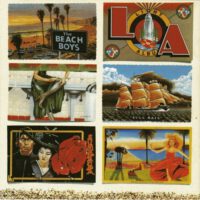 Beach Boys - Light Album vind je online bij de beste 2ehands Lp site. Run4records!