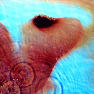 Pink Floyd - Meddle koop je online bij Run4records. Jouw 2ehands vinyl Site