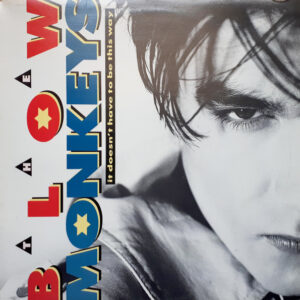 Blow Monkeys - It Doesn't Have To Be This Way koop je op 2ehands vinyl bij jou online store Run4records