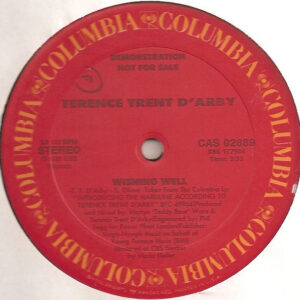 Terence Trent D'Arby – Wishing Well koop je online bij Run4records. Jouw 2ehands vinyl Site
