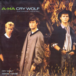 a-ha – Cry Wolf staat als tweedehands LP gewoon te koop bij Run4records.
