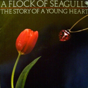 A Flock Of Seagulls - The Story Of A Young Heart vind je op 2ehands LP bij jouw online Run4records store