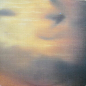New Order – State Of The Nation koop je op 2ehands lp bij Run4records