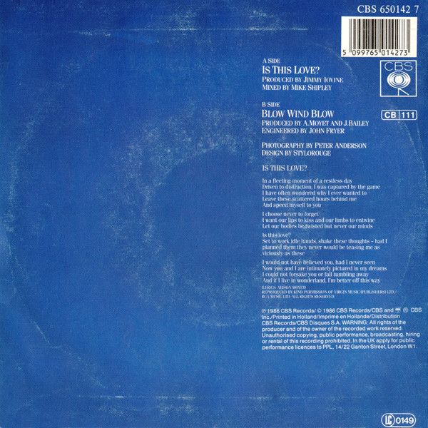 Alison Moyet - Is This Love? tweedehands 7 inch LP bij Run4Records