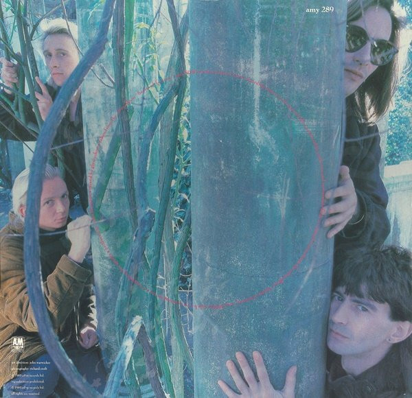 Immaculate Fools - Save It tweedehands 12 inch LP bij Run4Records