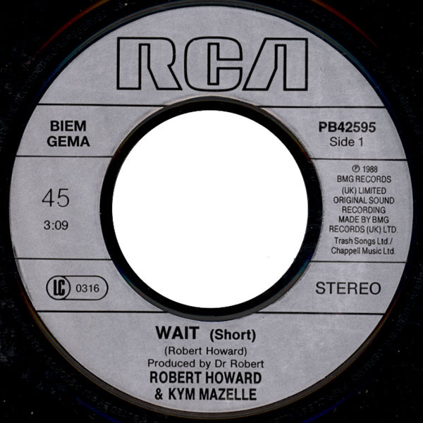 Dr. Robert, Kym Mazelle - Wait! tweedehands 7 inch LP bij Run4Records