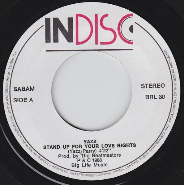 Yazz - Stand Up For Your Love Rights tweedehands 7 inch LP bij Run4Records