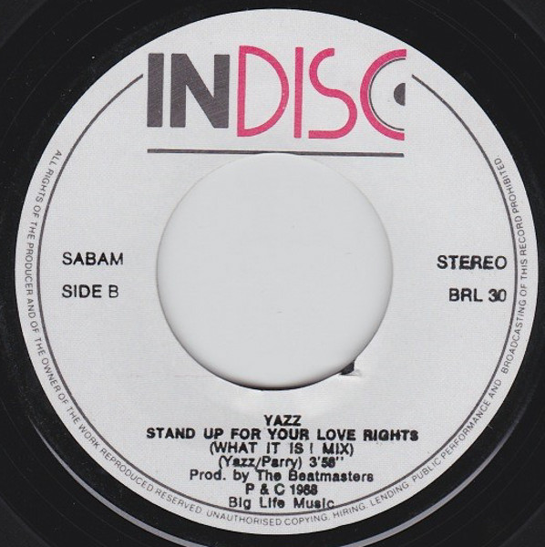 Yazz - Stand Up For Your Love Rights tweedehands 7 inch LP bij Run4Records
